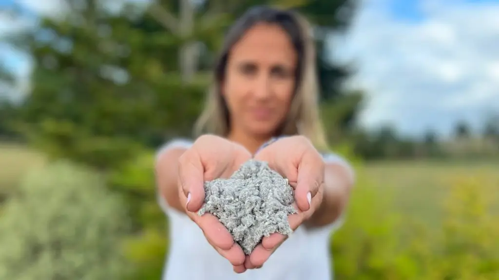 Economía circular en construcción: Los Lagos lidera conversación con expertos nacionales ,Corfo Los Lagos