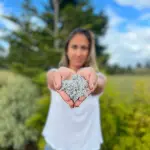 Economía circular en construcción: Los Lagos lidera conversación con expertos nacionales ,Corfo Los Lagos