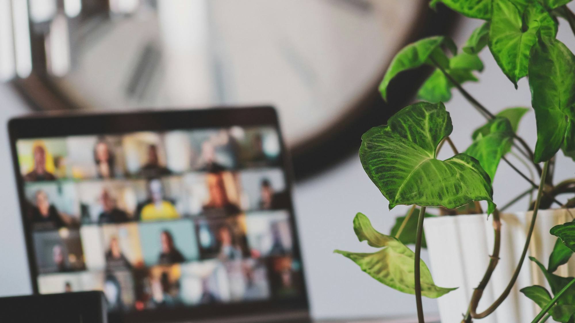Expo Laborum Online 2026: Con más de 14 mil oportunidades laborales, Unsplash