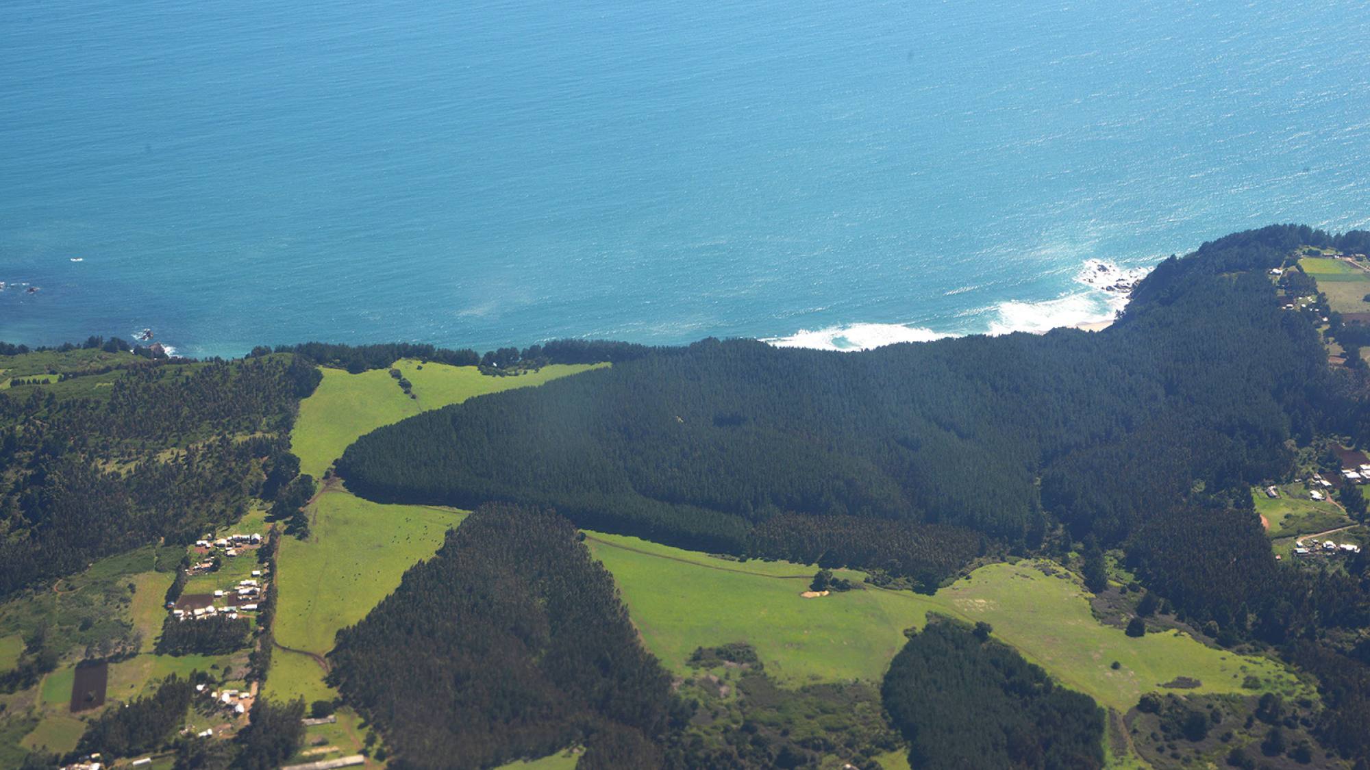 Corma lanza proyecto “Bien Público Carbono Forestal”, Corma