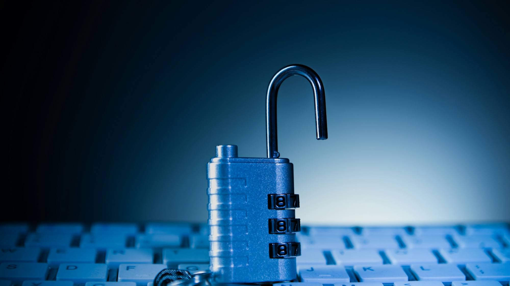 Seguridad en internet, Unsplash