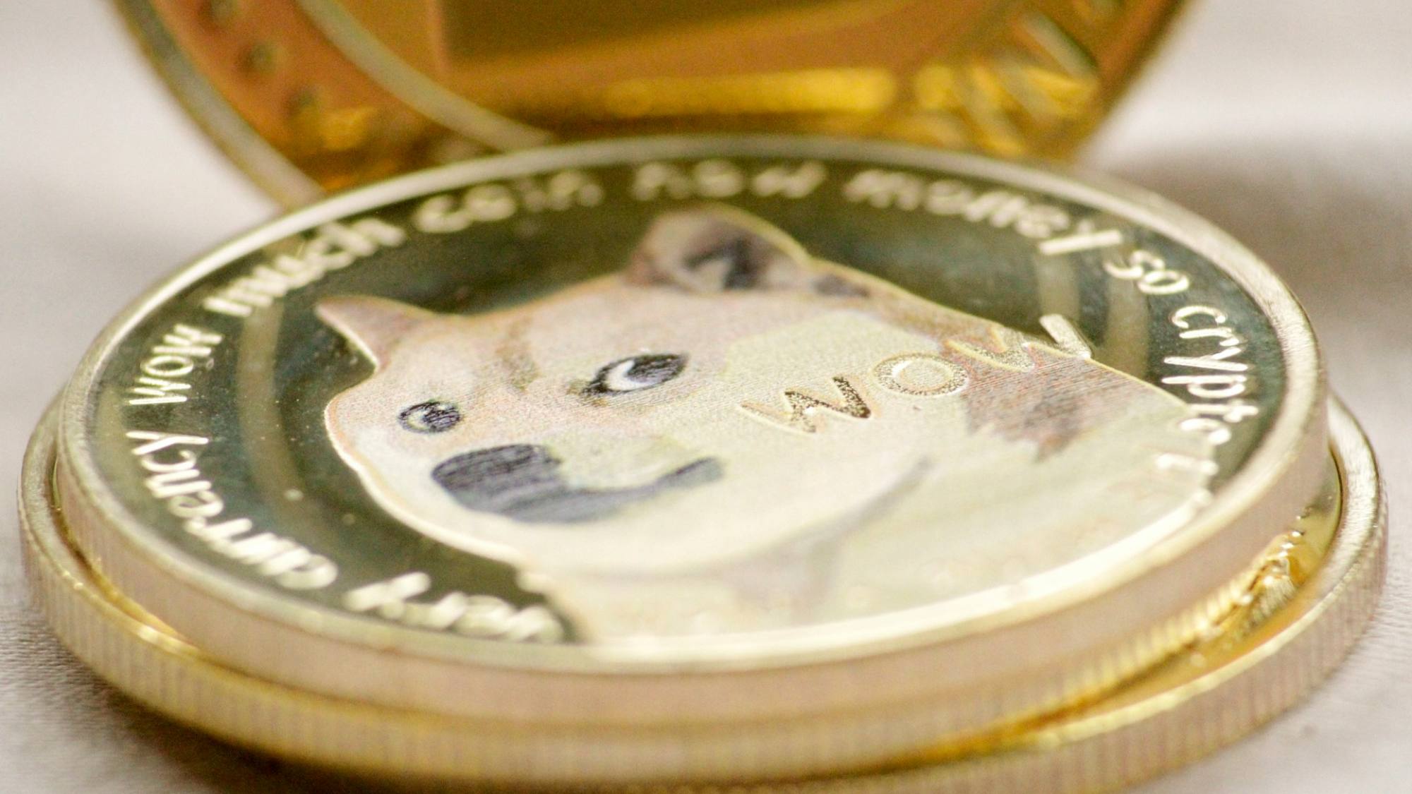 El fenómeno de las Meme Coins, Unsplash