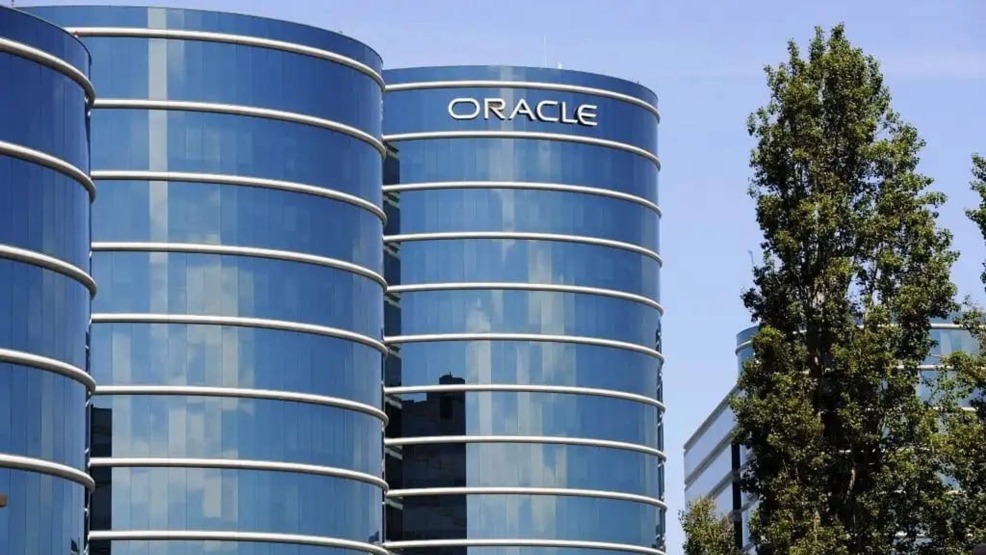 Oracle anuncia Startup Growth Engine, Gentileza