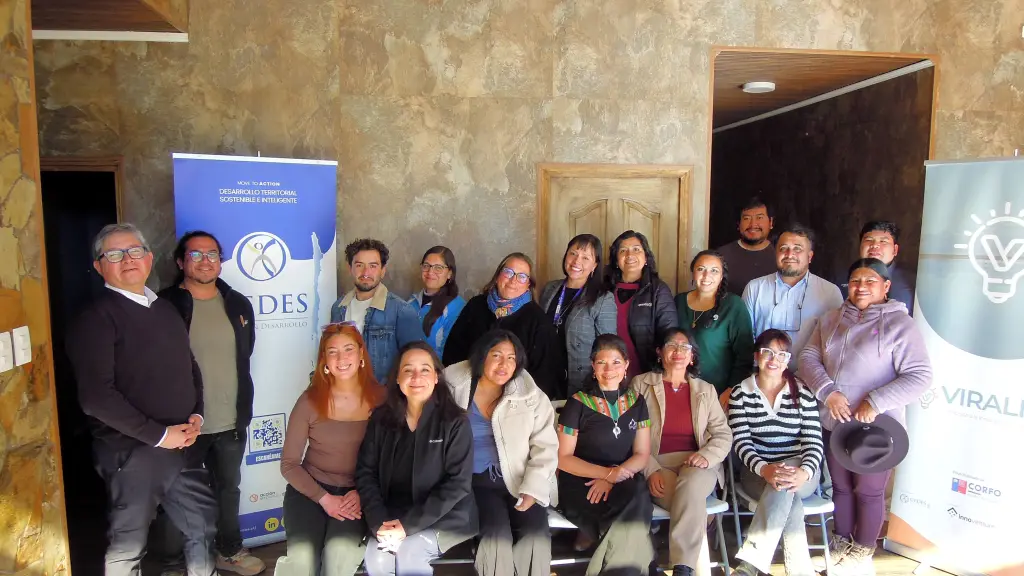 Programa Viraliza Formación realizó exitoso Pitch Day  ,Comité Corfo Antofagasta,