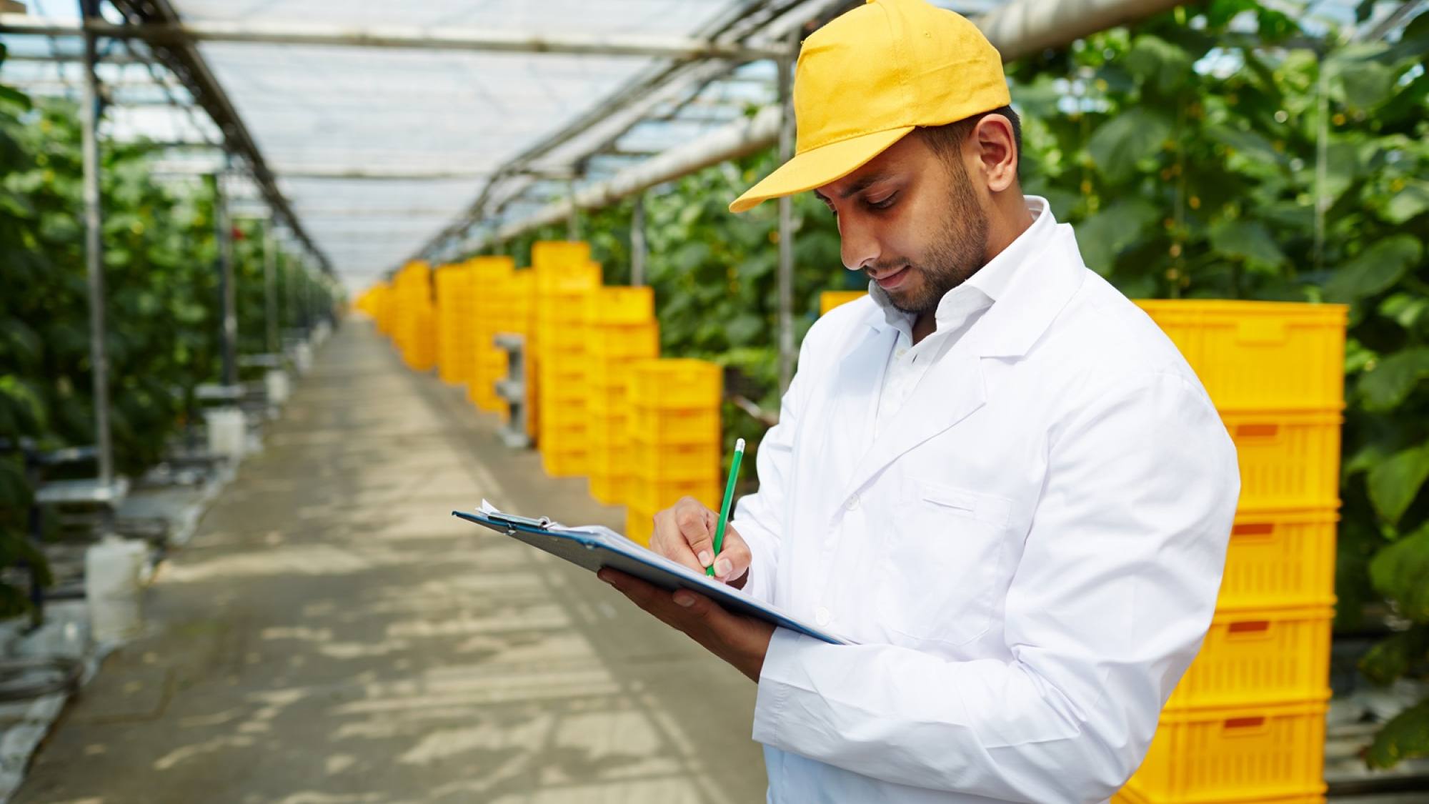 Empresas agroindustriales de Ñuble podrán acceder a hasta  millones para reconvertirse y abrir nuevos mercados, Corfo Ñuble