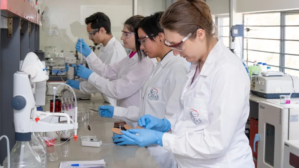 Valdivia será sede del Seminario Food Innova Los Ríos ,CREAS