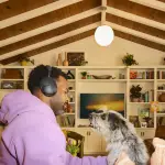 Sonos incorpora Beam Ultra y Sonos Ace Ultra a su sistema ,SONOS