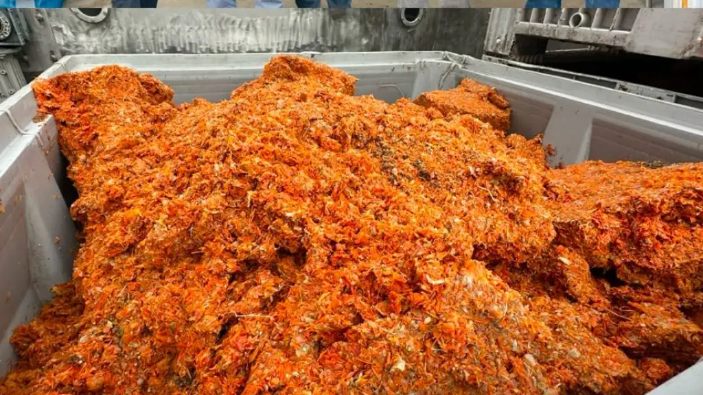 La segunda vida del tomate: tecnología chilena transforma residuos agroindustriales ,Corfo OHiggins 