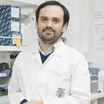 Científicos chilenos descubren cómo desarmar una molécula clave en tumores de estómago y mama ,UNAB