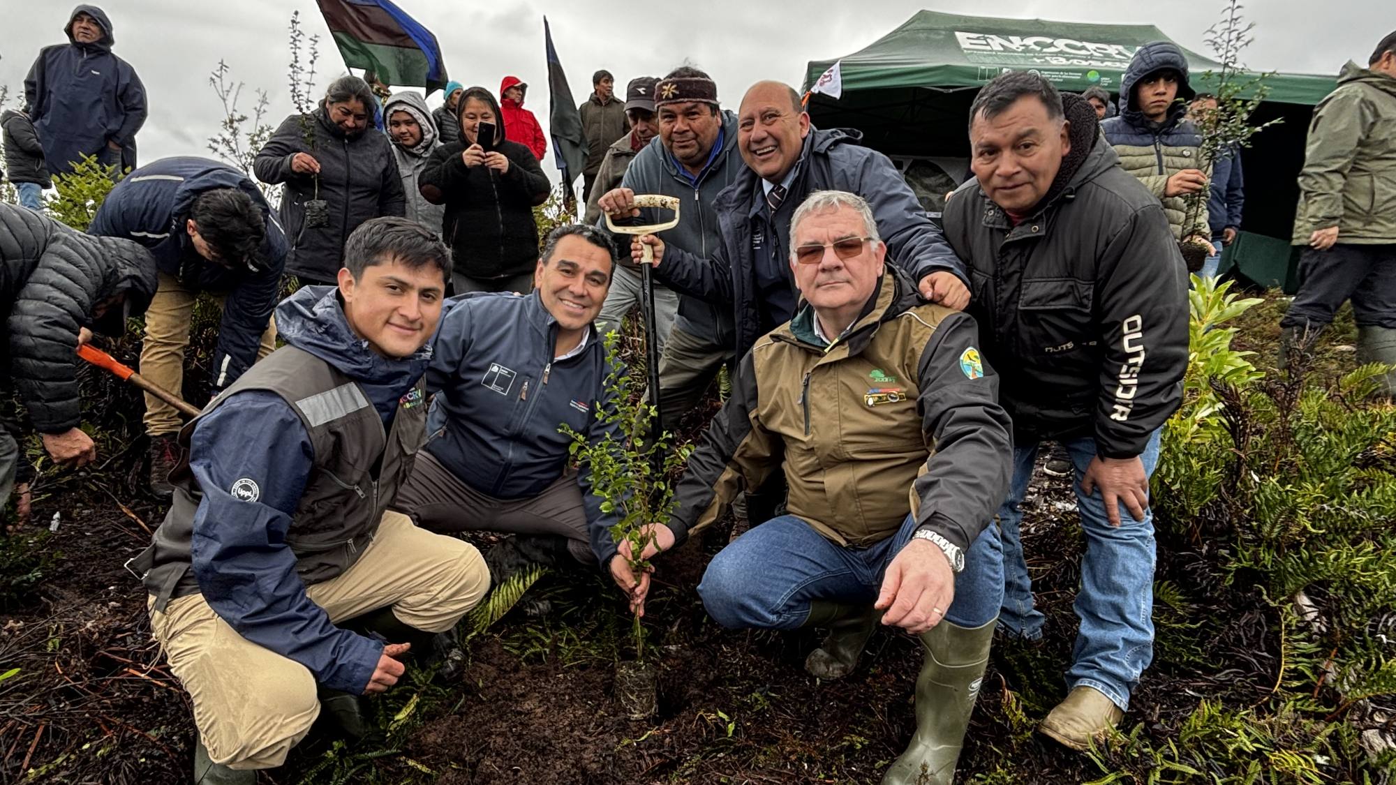 Comunidad Coihuín de Compu culmina proyecto de restauración de bosque nativo, Gentileza