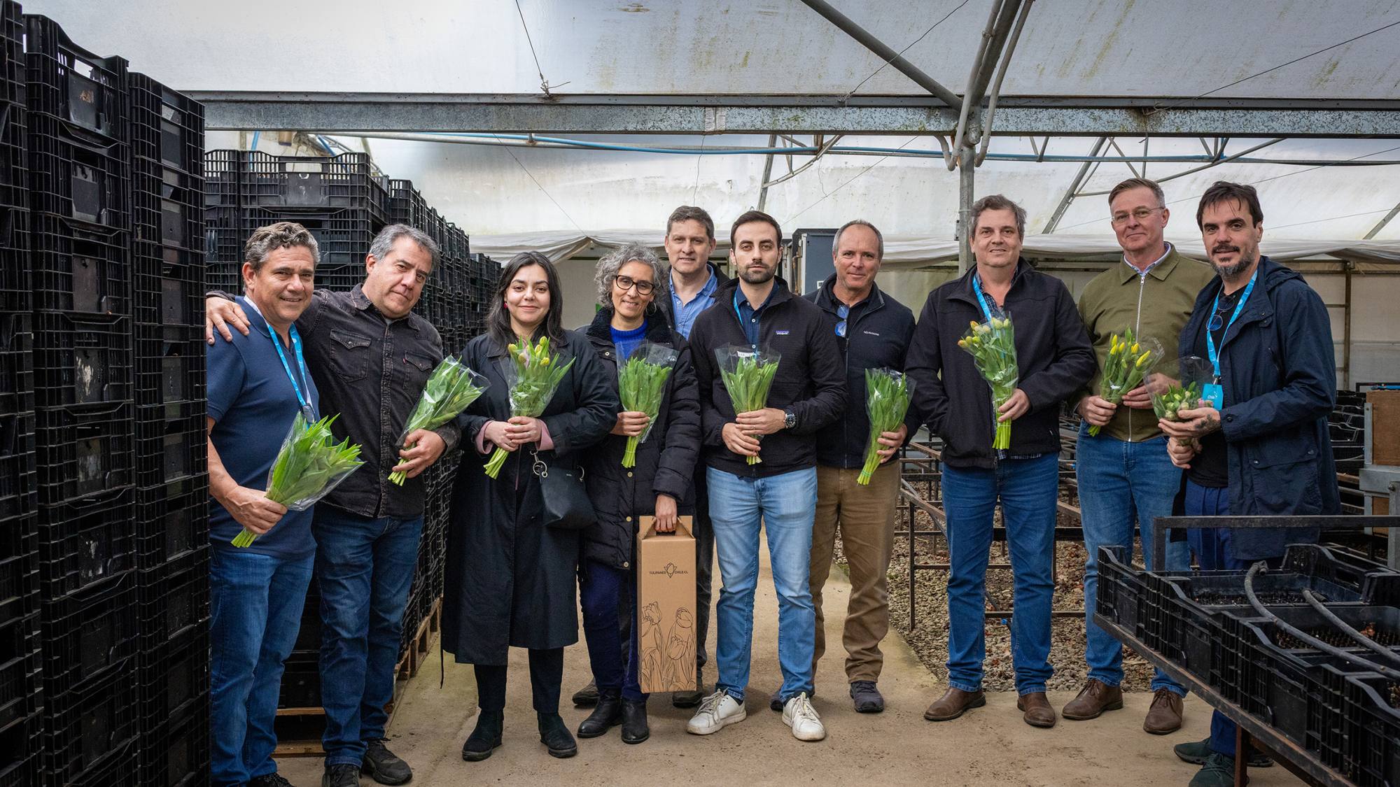 Importadores de México, Estados Unidos y Brasil proyectan negocios con floricultores de Los Ríos, ProChile Los Ríos